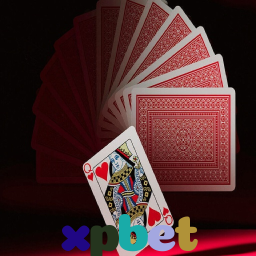 xpbet 