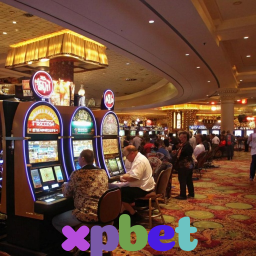 xpbet 